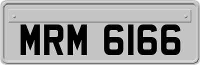MRM6166