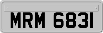 MRM6831