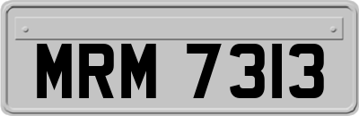MRM7313