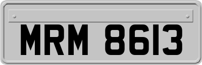 MRM8613