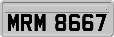 MRM8667