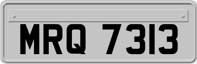 MRQ7313