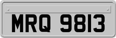 MRQ9813