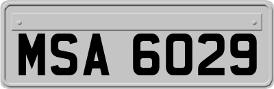 MSA6029
