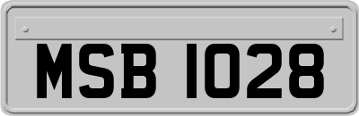 MSB1028