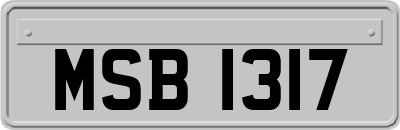 MSB1317