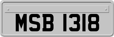 MSB1318