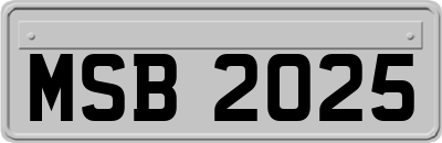 MSB2025