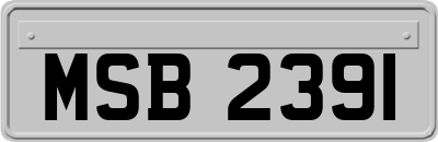 MSB2391