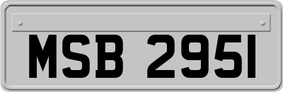 MSB2951