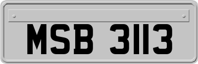 MSB3113