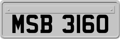 MSB3160