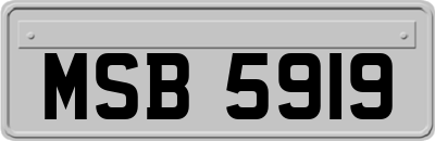 MSB5919