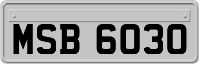MSB6030
