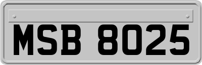 MSB8025