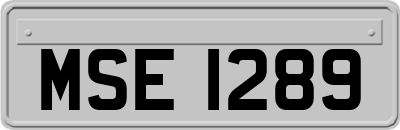 MSE1289