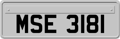 MSE3181