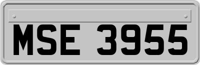 MSE3955
