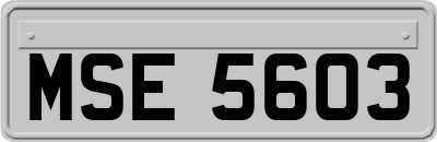 MSE5603