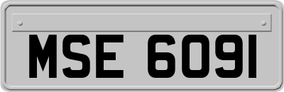 MSE6091
