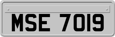 MSE7019