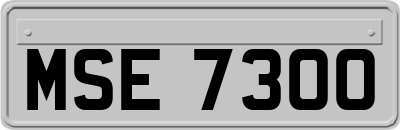 MSE7300