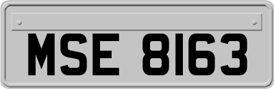 MSE8163