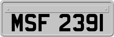 MSF2391