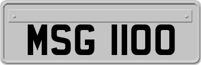 MSG1100