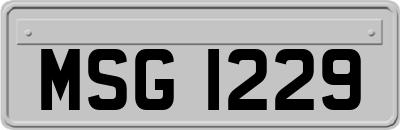 MSG1229