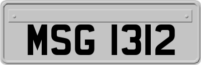 MSG1312