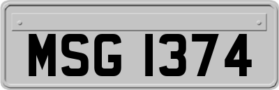 MSG1374