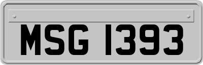 MSG1393