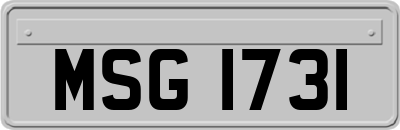 MSG1731