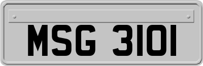 MSG3101