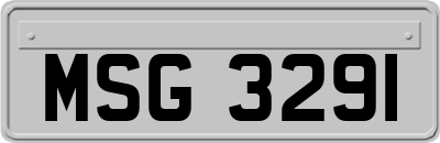 MSG3291