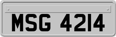 MSG4214