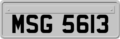 MSG5613