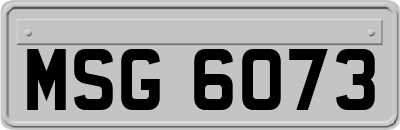 MSG6073