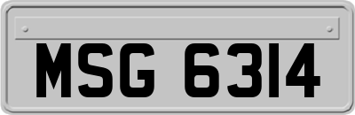 MSG6314