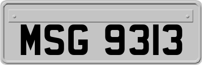 MSG9313