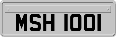 MSH1001