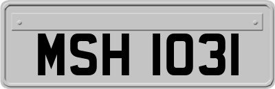 MSH1031