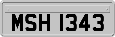 MSH1343