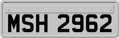 MSH2962