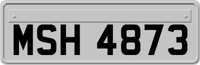 MSH4873