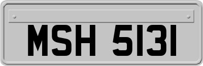 MSH5131