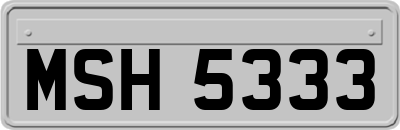 MSH5333