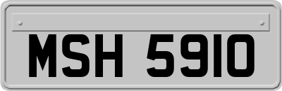 MSH5910