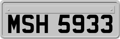 MSH5933